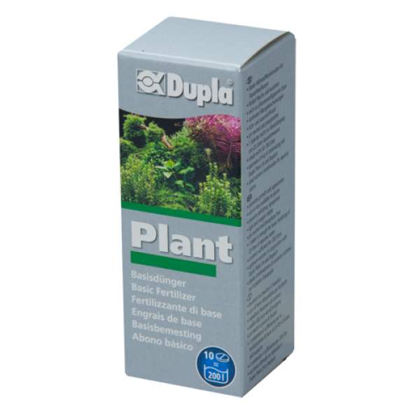Plant basic